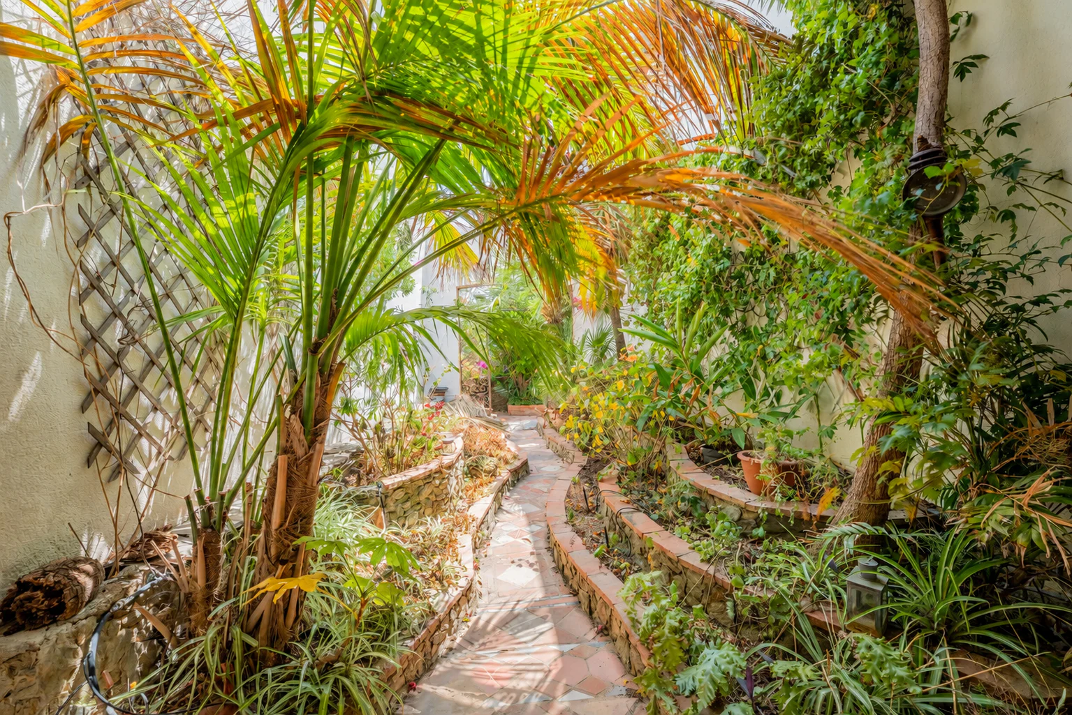 Cheminement au cœur du jardin